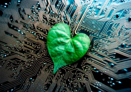 开云体育APP案例